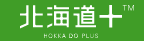 �k�C���v���X
