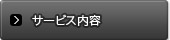 �T�[�r�X���e