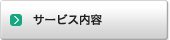 �T�[�r�X���e