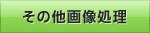 ���̑��摜����