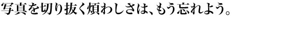 �ʐ^��؂蔲���ς킵���́A�����Y��悤�B